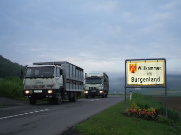 LKW im Burgenland
